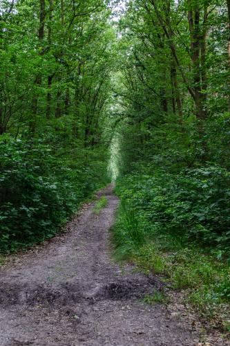 Fotonummer: 1320