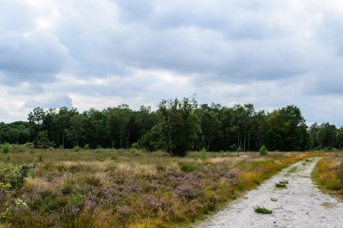 Fotonummer: 1331