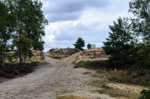 Fotonummer: 1334