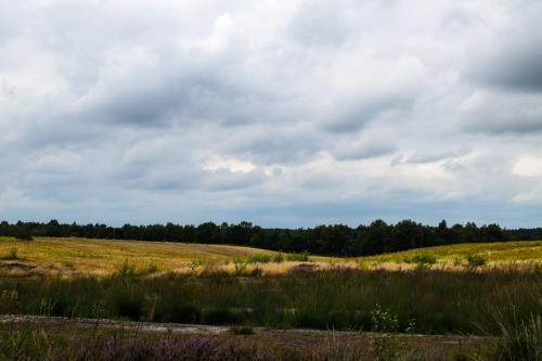 Fotonummer: 1312