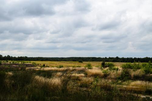 Fotonummer: 1313