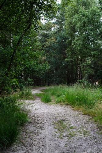 Fotonummer: 1314