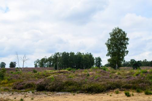 Fotonummer: 1327