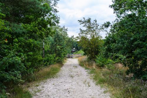 Fotonummer: 1338