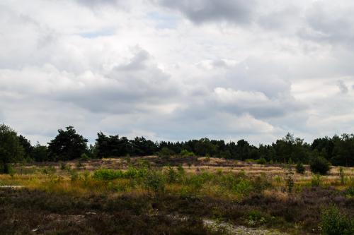 Fotonummer: 1341