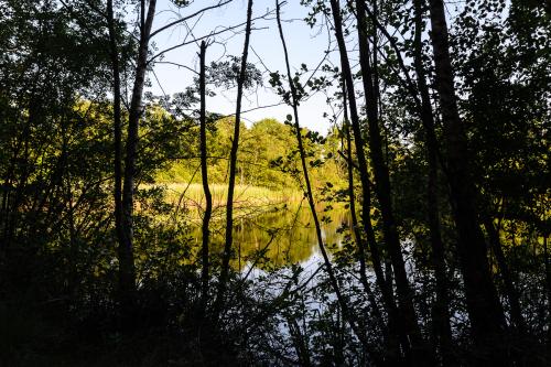 Fotonummer: 3576