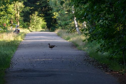 Fotonummer: 3569