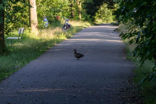 Fotonummer: 3571