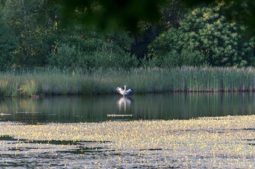 Fotonummer: 3577