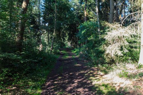 Fotonummer: 3566